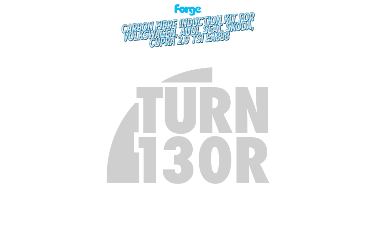 Forge Carbon Airbox Intake Golf 7 GTI / Golf 8 R / S3 8V / Leon 3 Cupra / S3 8Y 2.0 TFSI
