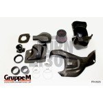 Gruppe M Carbon Fiber Intake System for the Honda Civic Type R FK8