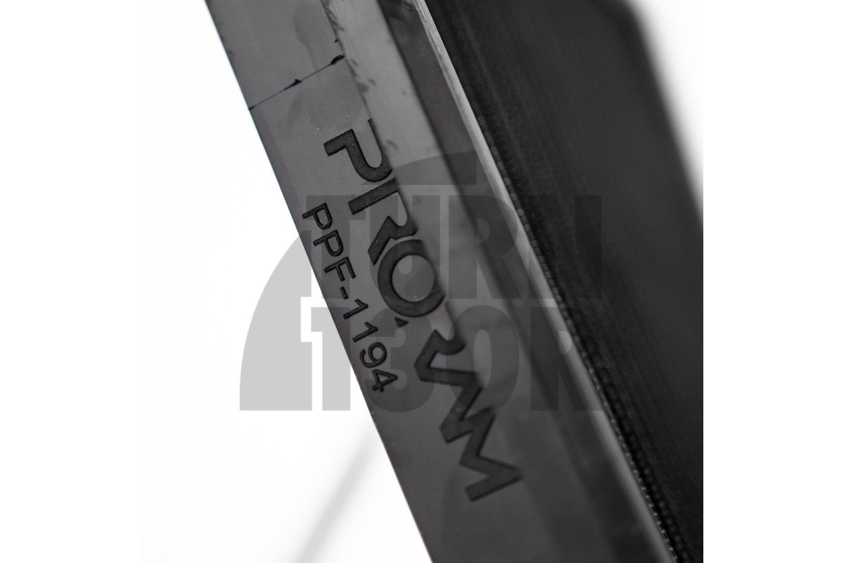 Ramair Proram Panel Air Filter for Mini GP3 and BMW 135i F40 / 235i F4x