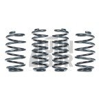 Racingline Sport Springs Cupra Formentor 2.0 TSI