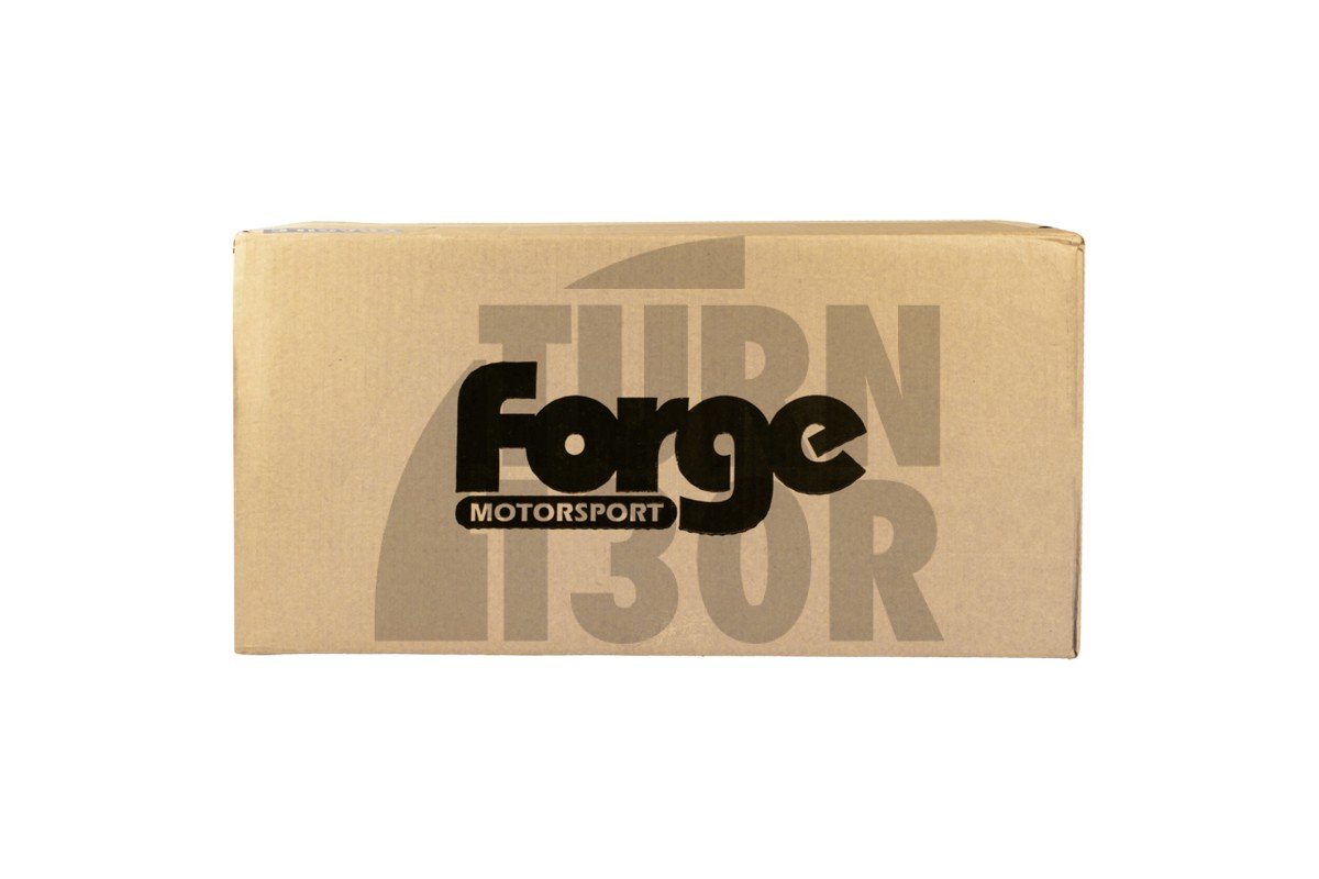 Forge Intake Ford Fiesta ST 180