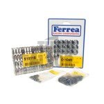 Mitsubishi Lancer Evo 10 Ferrea Valve Springs and Retainers Kit