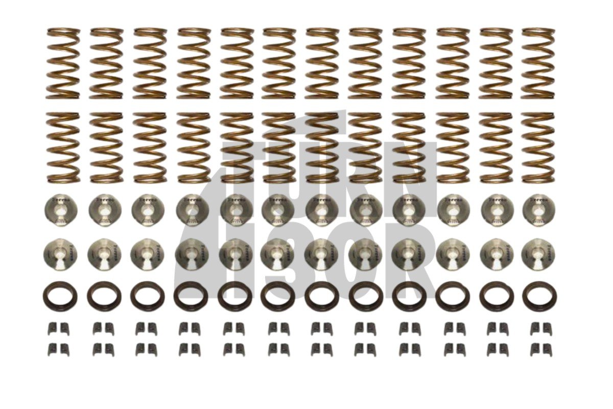 Nissan R35 GTR Ferrea Valve Springs and Retainers Kit