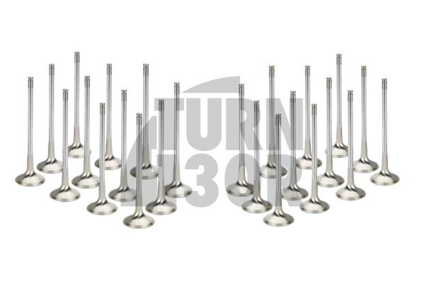 Supertech Engine Valves x24 BMW 135i E8x / 1M / 335i E9x N54 
