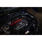 Forge Motorsport Carbon Induction Kit Audi RS3 8V / RS3 8Y