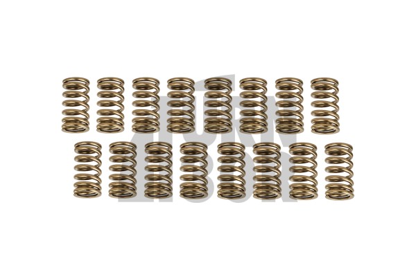 HKS Valve Springs Set for Mitsubishi Lancer Evo 8 - Evo 9